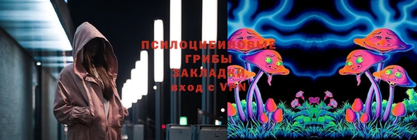 стафф Михайловск
