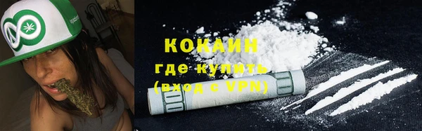 ГАЛЛЮЦИНОГЕННЫЕ ГРИБЫ Горно-Алтайск