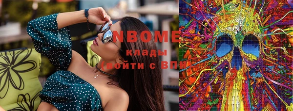 соль ск Михайлов