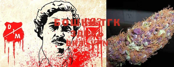 стафф Михайловск