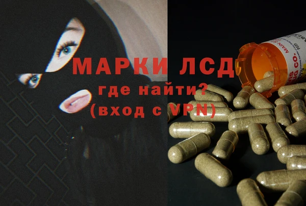 стафф Михайловск