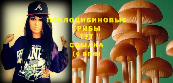 соль ск Михайлов