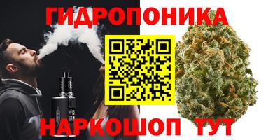 гашик Конаково