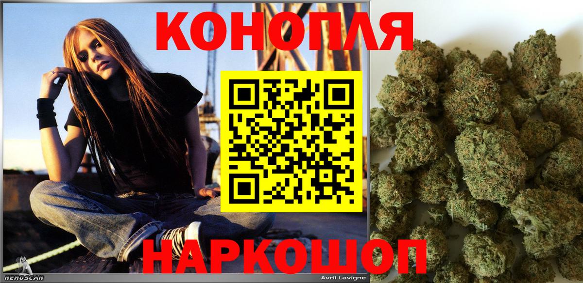 Конопля OG Kush  Марихуана планчик  Ялта  Бошки Шишки THC 21%  Вход с VPN 